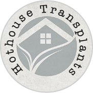 HothouseTransplants.com